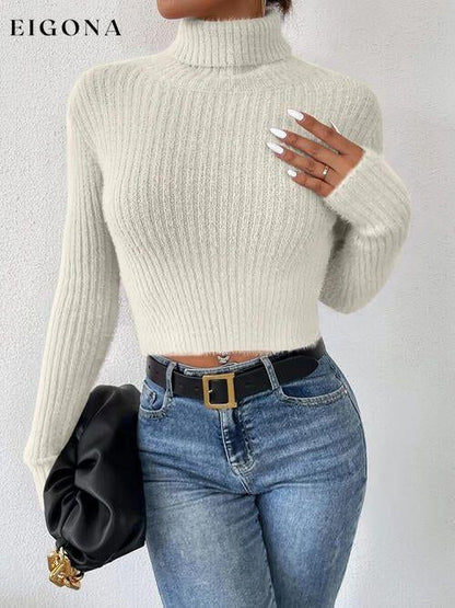 Ribbed Turtleneck Long Sleeve Sweater clothes Ship From Overseas sweater sweaters X.W