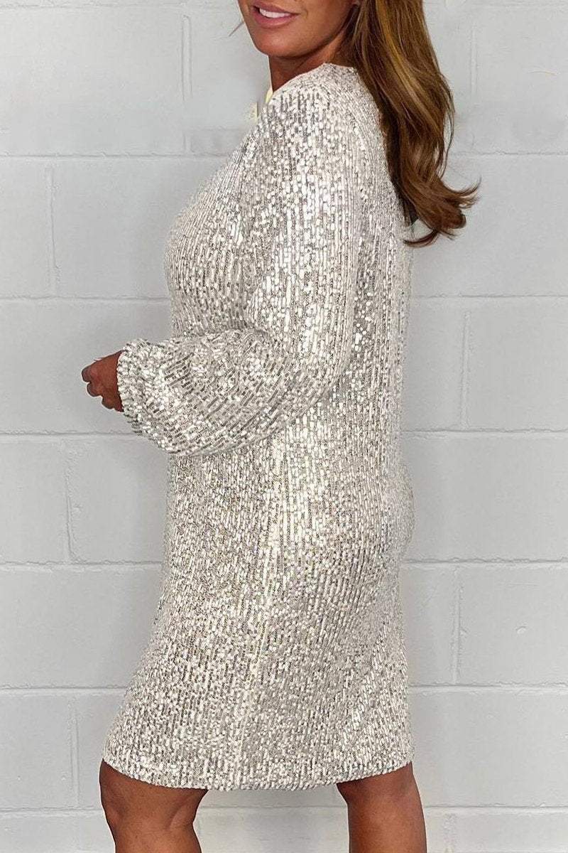 Women's Round Neck Long Sleeve Sequined Dress Fashion Trends