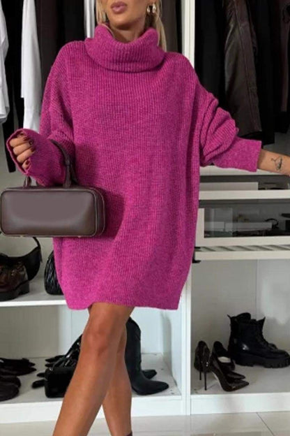 Women's Long Sleeve Casual Sweater Dress with Pile Collar Dress Mini Dress